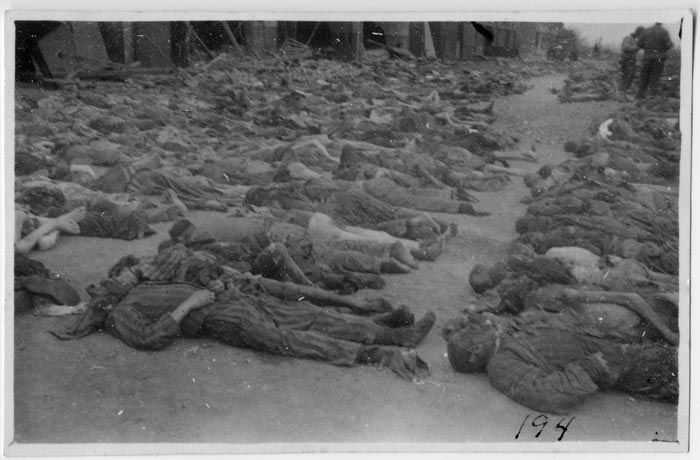 Picture of the dead in Nordhausen. Although Ray did not take this picture, he notes that he 'saw this type of thing, and more' when he arrived in the Nordhausen.
